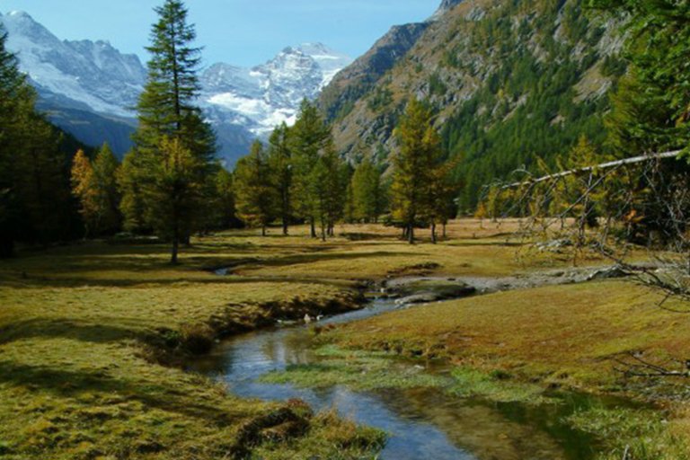 Parchi e biodiversità: il futuro verde dell’Italia